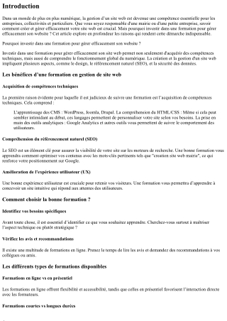 “Pourquoi investir dans une formation pour gérer efficacement son website ?”
