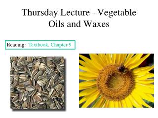 Thursday Lecture –Vegetable Oils and Waxes