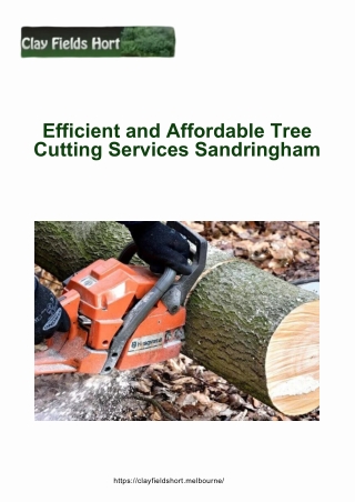 Efficient and Affordable Tree Cutting Services Sandringham