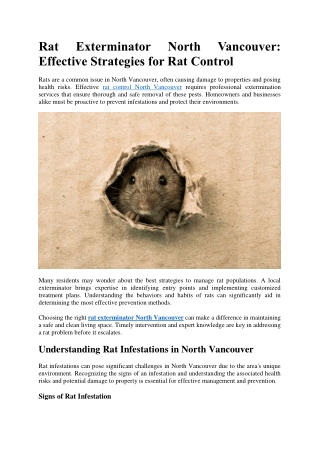 Rat Exterminator North Vancouver Effective Strategies for Rat Control