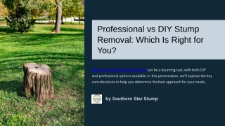 Professional vs DIY Stump Removal Which Is Right for You