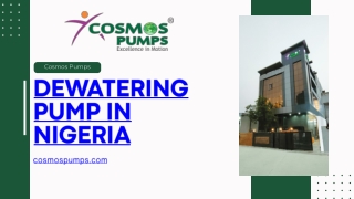 Dewatering Pump In Nigeria- cosmos pumps