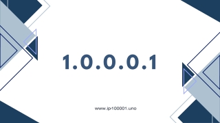 Understanding the Role of 1.0.0.0.1 in Network Management
