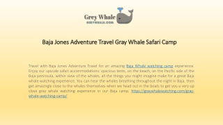 Cozy & Thrilling Gray  Whale Safari Camp