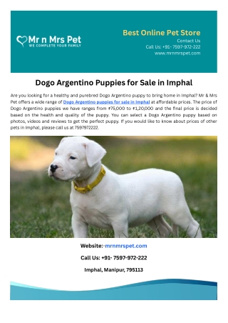 Dogo Argentino Puppies for Sale in Imphal