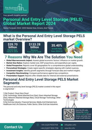 Personal And Entry Level Storage (PELS) Global Market Report 2024