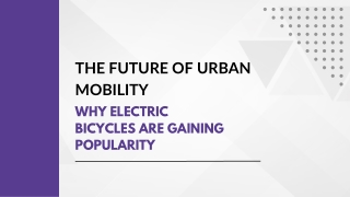 The Future of Urban Mobility