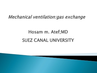 mechanica lventilation gas exchange