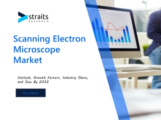 Global Scanning Electron Microscope Market Trends and Growth Forecast 2024
