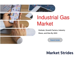 Industrial Gas Market Size and Trends, 2025-2033