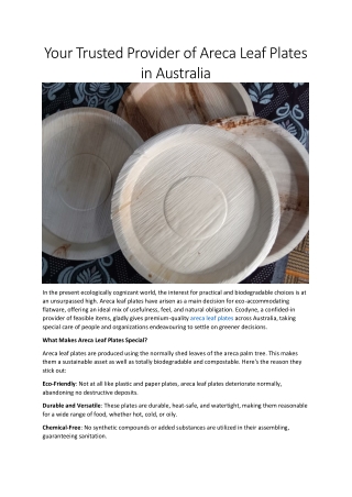 Eco-Friendly Areca Leaf Plates by Ecodyne in Australia