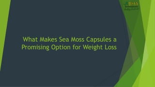 What Makes Sea Moss Capsules a Promising Option