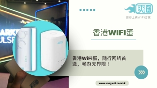 香港wifi蛋