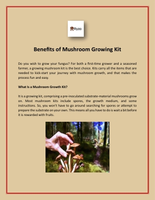 Grow Your Own Mushrooms with Our Growing Mushroom Kit