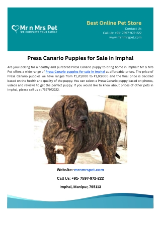 Presa Canario Puppies for Sale in Imphal