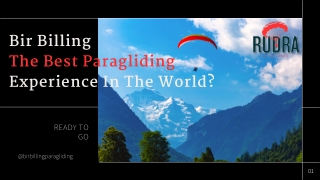 Bir Billing The Best Paragliding Experience In The World
