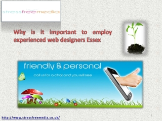 Web Designers Essex