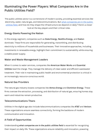 Illuminating the Power Players What Companies Are in the Public Utilities Field