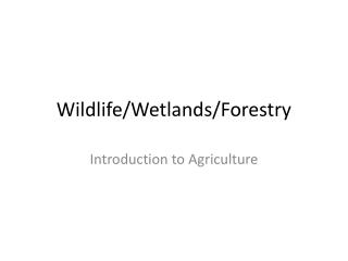Wildlife/Wetlands/Forestry