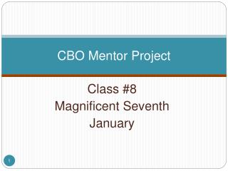 CBO Mentor Project