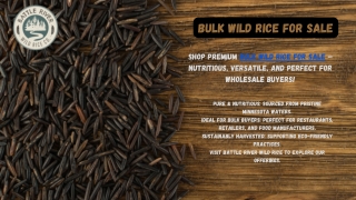 Bulk Wild Rice for Sale – Fresh, Healthy, and Wholesale Ready