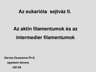 Az eukarióta sejtváz II. Az aktin filamentumok és az intermedier filamentumok