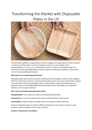 Ecodyne: Premium Disposable Plates in the US