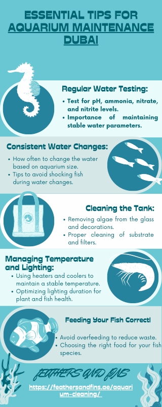 Tips for Aquarium Maintenance in Dubai