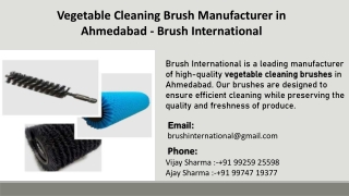 Vegetable Cleaning Brush Manufacturer in Ahmedabad - Brush International