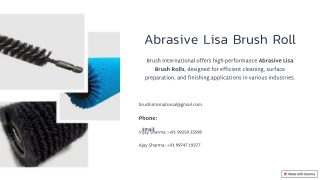 Abrasive Lisa Brush Roll - Brush International