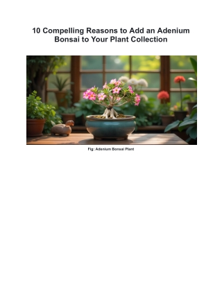 10 Compelling Reasons to Add an Adenium Bonsai to Your Plant Collection