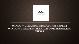 Window Cleaning Singapore - Expert Window Cleaning Services for Sparkling Views