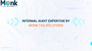 Comprehensive Internal Audit Services by Monk Tax Solutions