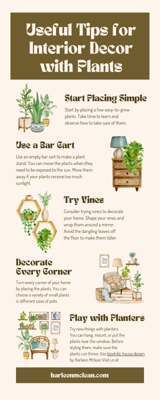 Useful Tips for Interior Decor with Plants | Biophilic House Design by Harleen M