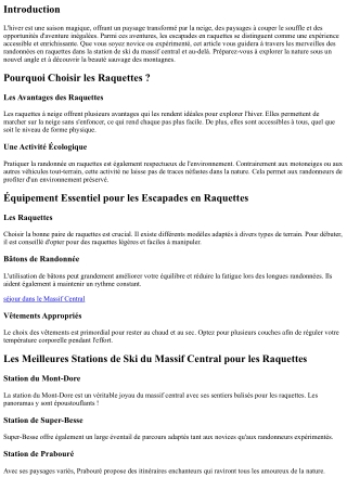 En Avant pour l'Aventure : Escapades en Raquettes