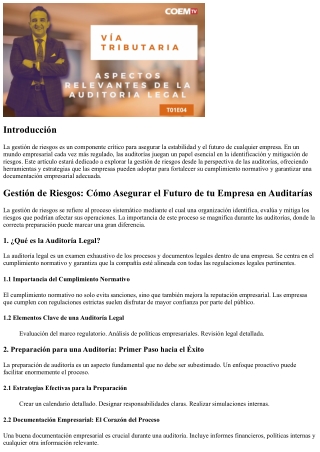 Gestión de Riesgos: Cómo Asegurar el Futuro de tu Empresa en Auditarías