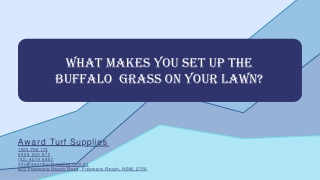 WHAT MAKES YOU SET UP THE BUFFALO  GRASS ON YOUR LAWN