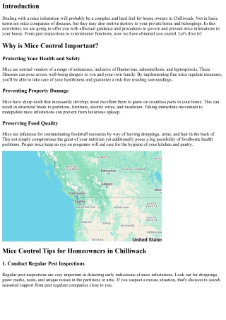 Mice Control Tips for Homeowners in Chilliwack