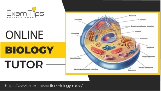 Master Biology with Exam Tips’ Online Biology Tutor