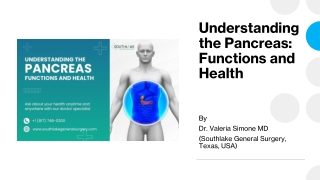 Understanding the Pancreas - Functions and Health