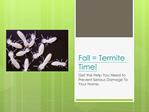 Fall = Termite Time – Get the Help You Need to Prevent Serio