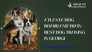 Atlanta Dog Board and Train - Best Dog Training in Georgi