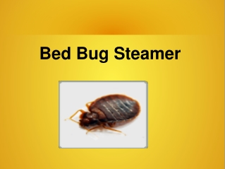 Bed Bug Steamer