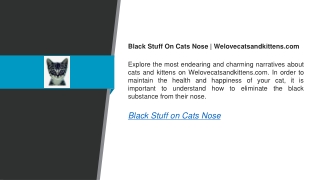 Black Stuff On Cats Nose  Welovecatsandkittens.com