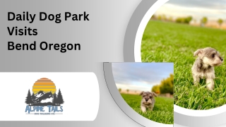 Daily Dog Park Visits Bend Oregon