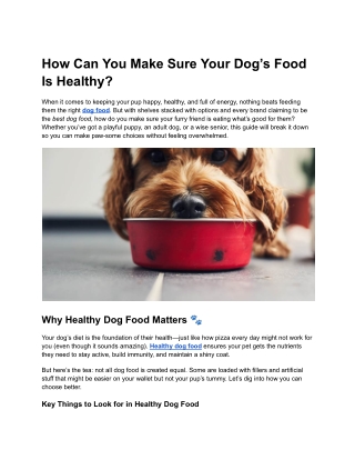 How Can You Make Sure Your Dog’s Food Is Healthy?