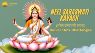 Experience Protection and Prosperity with Neel Saraswati Kavach, Sri Gopal Kavach, and Shri Yantra