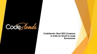 Codeblends- Best SEO Company in India for Small to Large Businesses