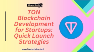 TON Blockchain Development for Startups Quick Launch Strategies