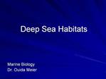 Deep Sea Habitats